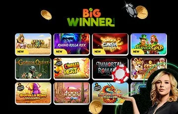 Big Winner Pro
